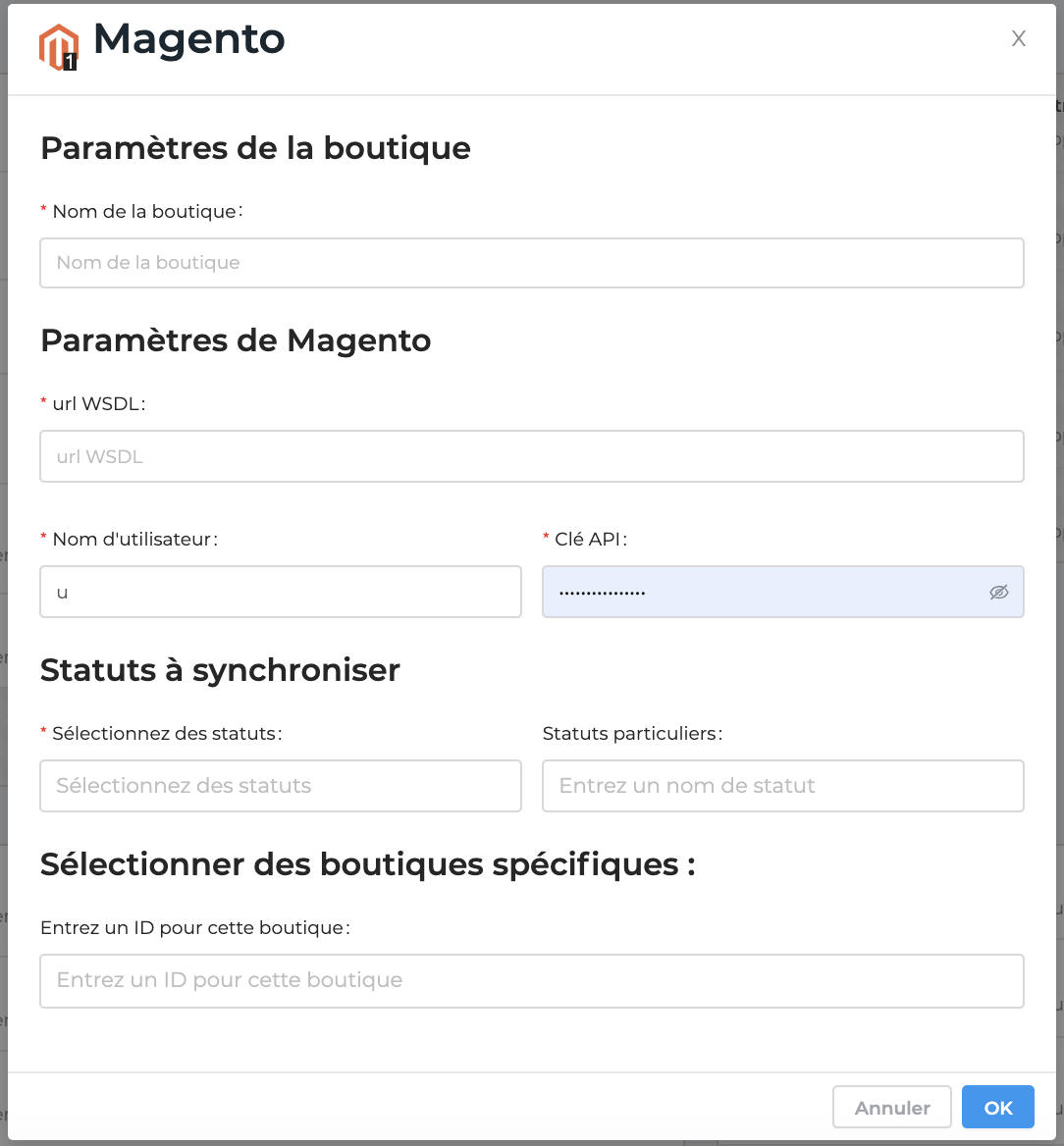 formulaire-canal-synchronisation-magento-1.png